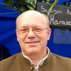 Zwick András